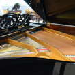 2014 FANCY William Knabe grand piano - Grand Pianos